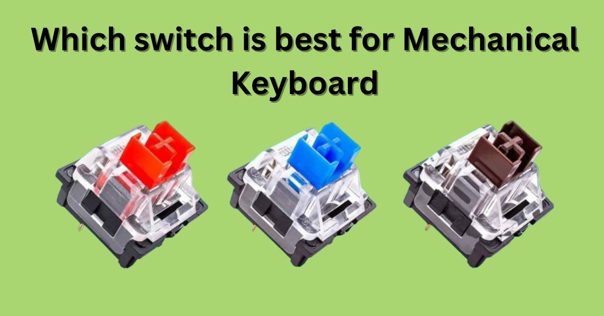 Which switch is best for Mechanical Keyboard